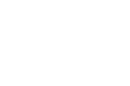 light logo